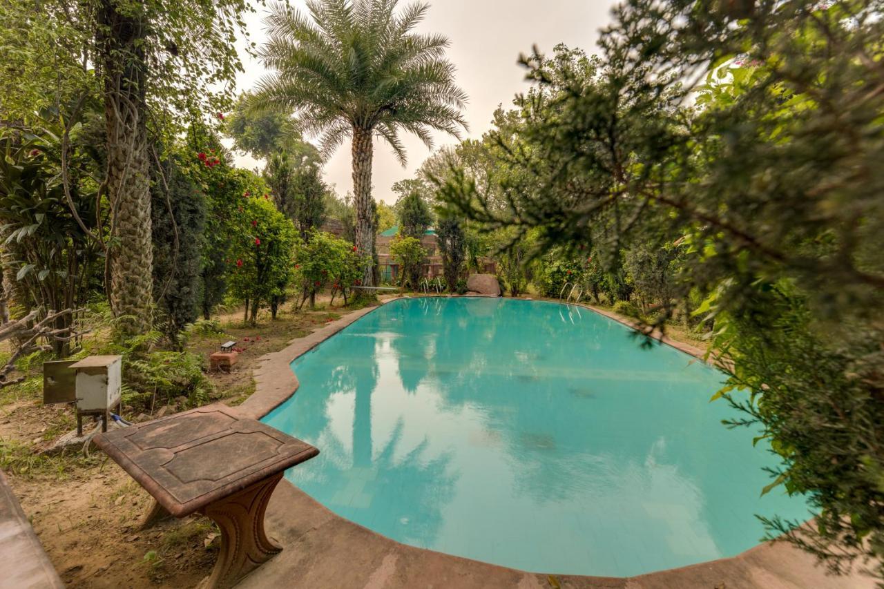 Hostie Chinar Haveli - Heritage Home With Pool, غورغاون المظهر الخارجي الصورة