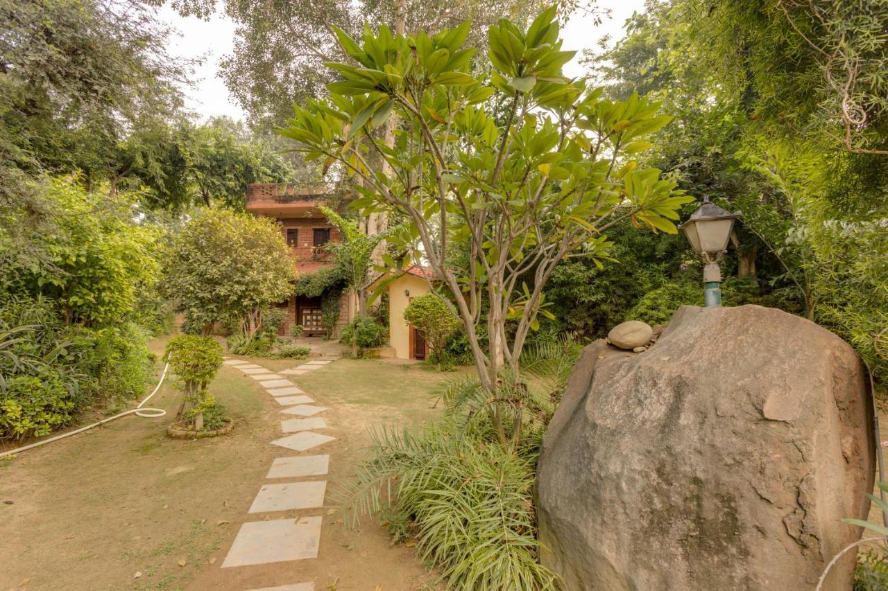 Hostie Chinar Haveli - Heritage Home With Pool, غورغاون المظهر الخارجي الصورة