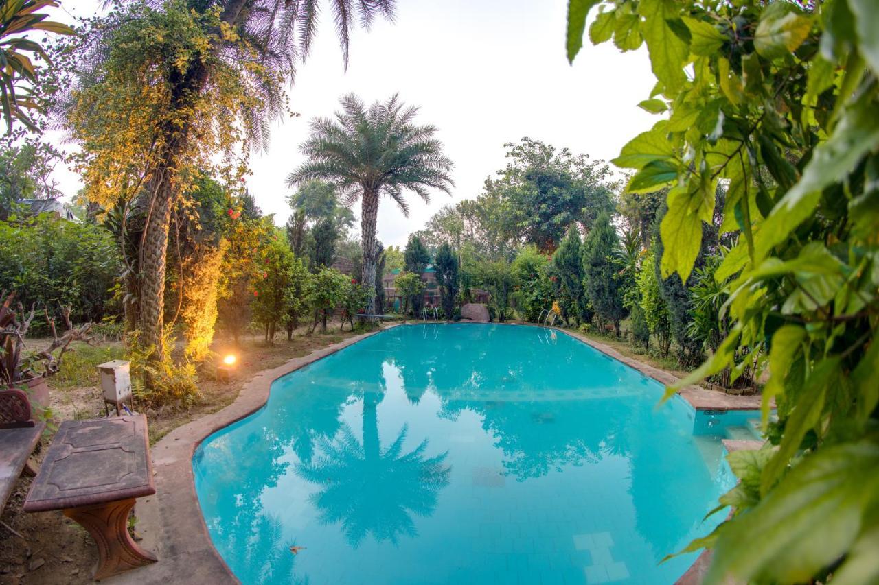 Hostie Chinar Haveli - Heritage Home With Pool, غورغاون المظهر الخارجي الصورة