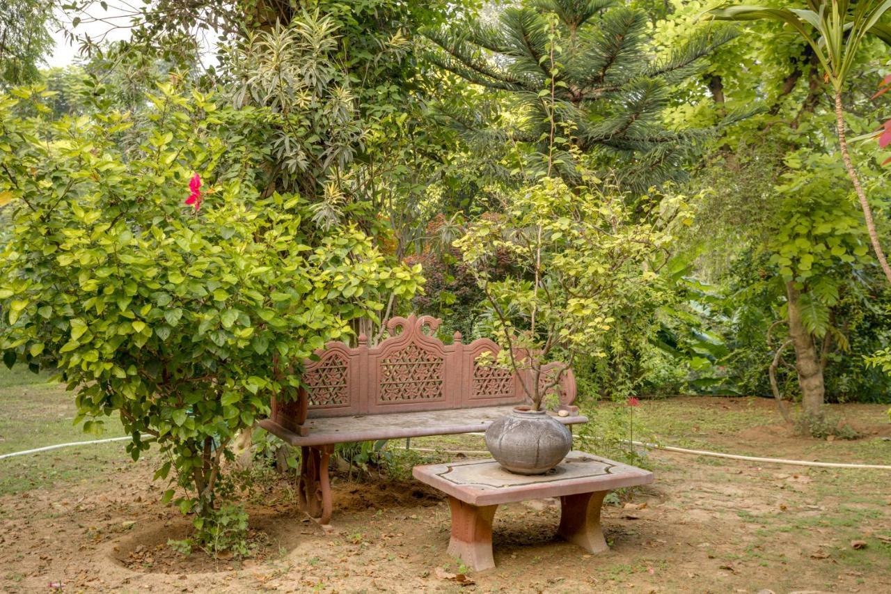 Hostie Chinar Haveli - Heritage Home With Pool, غورغاون المظهر الخارجي الصورة