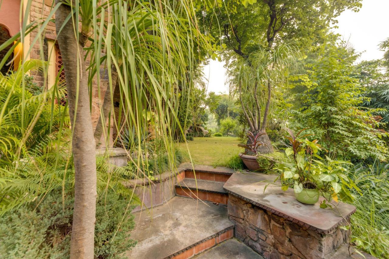 Hostie Chinar Haveli - Heritage Home With Pool, غورغاون المظهر الخارجي الصورة