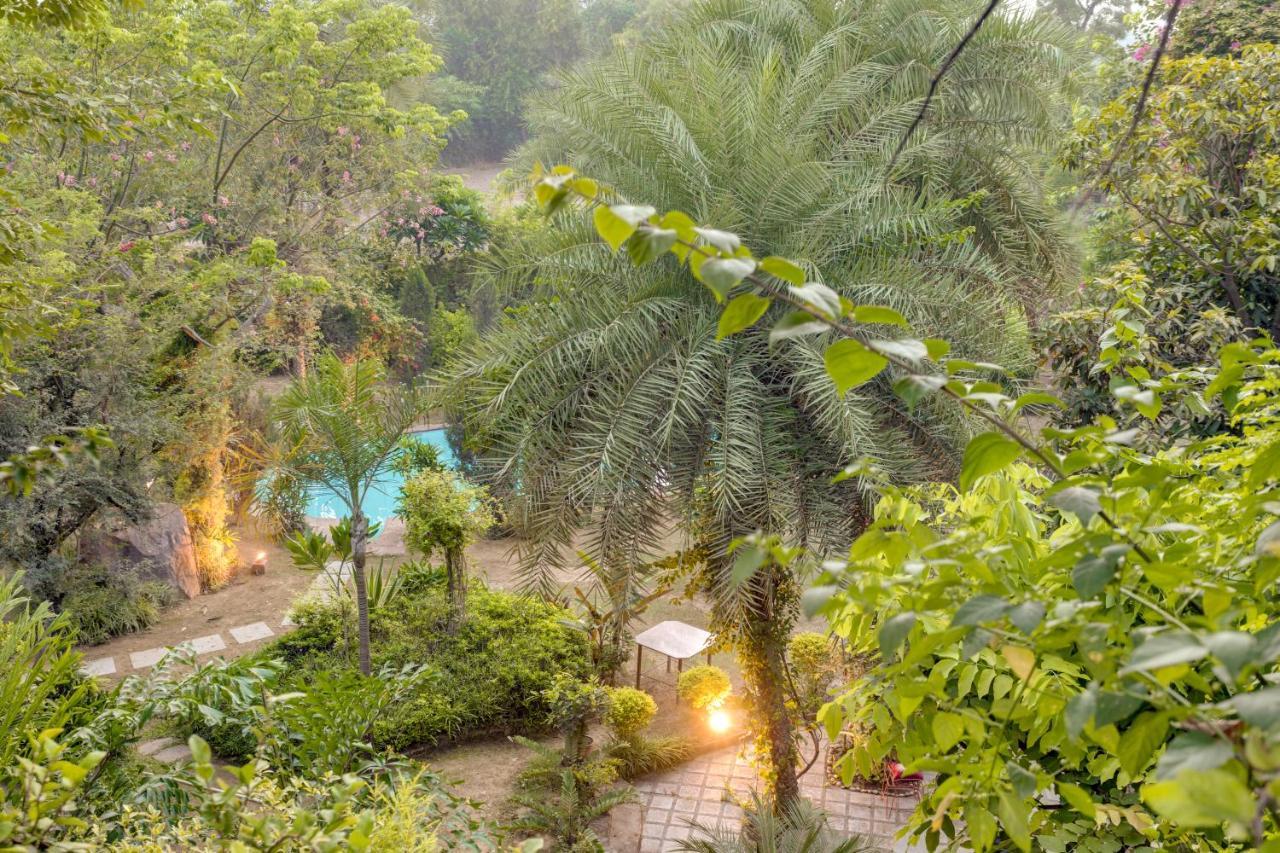 Hostie Chinar Haveli - Heritage Home With Pool, غورغاون المظهر الخارجي الصورة